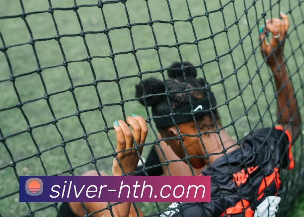 hth体育APP 封面图